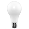 Led Bulb Series A70