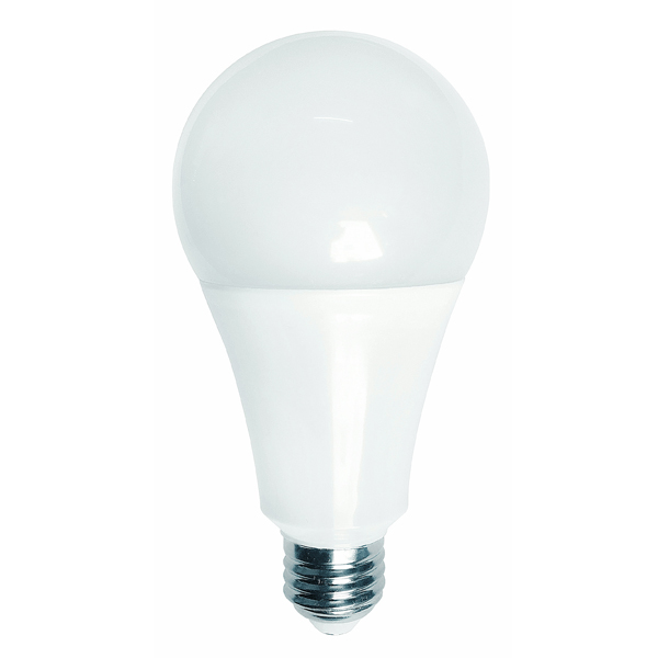 Led Bulb Series A80