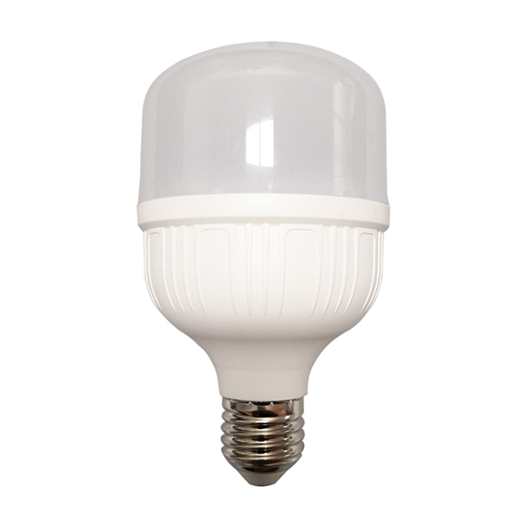 Led Bulb Series TP80