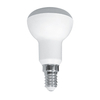 Led Bulb Series R80