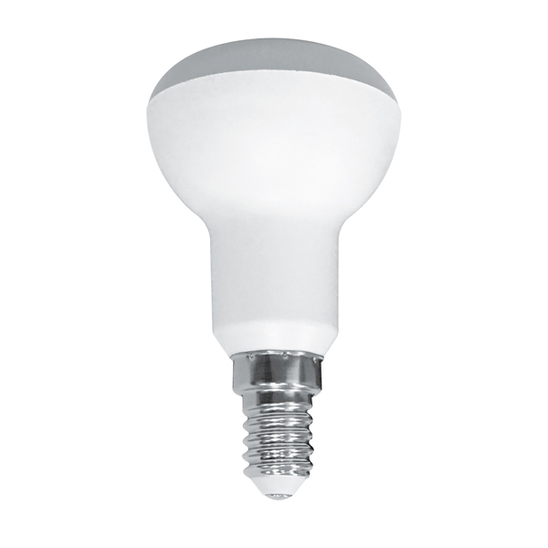 Led Bulb Series R80