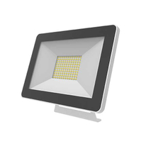 Led Flood Light