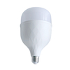 Led Bulb Series TB80