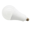 Led Bulb Series A80