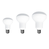 Led Bulb Series R80