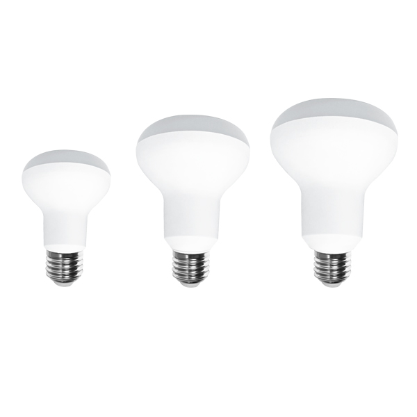 Led Bulb Series R80